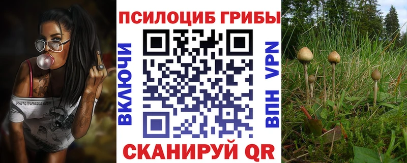 Галлюциногенные грибы прущие грибы  Самара 
