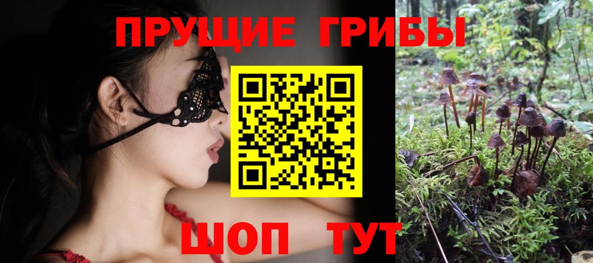 Галлюциногенные грибы GOLDEN TEACHER Самара